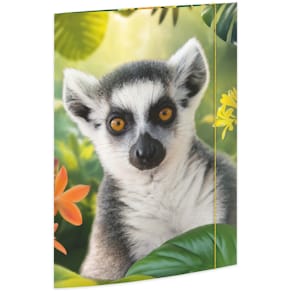 Gummizugmappe RNK Lemur, A3