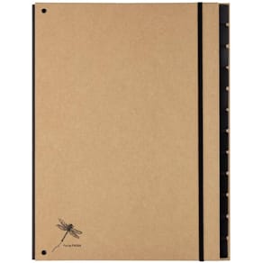 Pultordner PAGNA Pur, 12 Fächer, natur