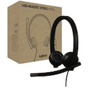 Logitech H570e - Headset - på örat - kabelansluten - USB-A