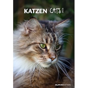 Bildkalender Alpha Edition Katzen 2026, 24 x 34 cm, Wire-O-Bind.