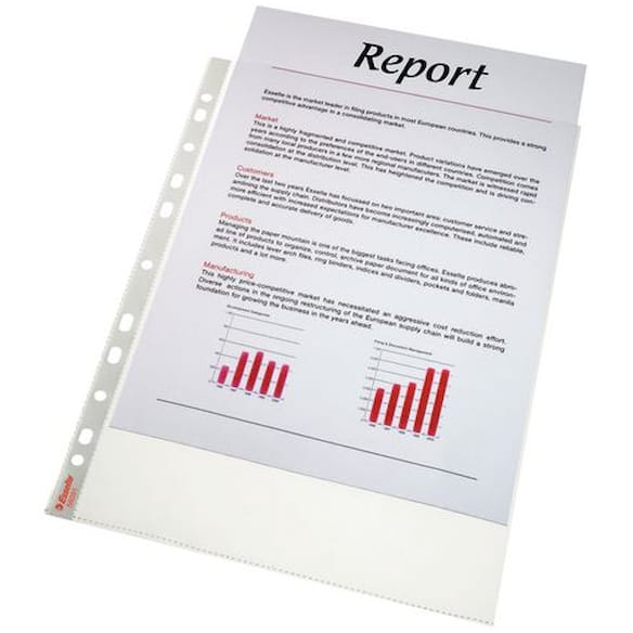 Plastlomme ESSELTE A4 topp 105my (10)