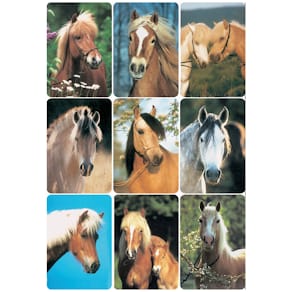 Schmucketikett HERMA Pferdeköpfe, 27 Stück, bunt