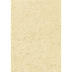 Elefantenhautpapier RNK, A4, 110g, chamois, 100 Blatt