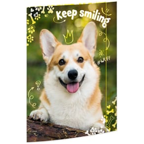 Gummizugmappe RNK Corgi, A3, bunt