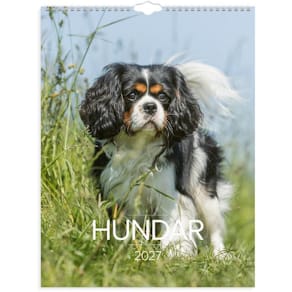 Väggkalender Stora Hundkalendern 2027