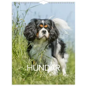 Väggkalender Stora Hundkalendern 2027