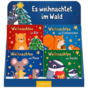 Weihnachtsbuch ARS Edition, im Display sortiert