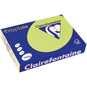 Gekleurd papier Clairefontaine Trophée Pastel, A4, 160 g, 250 vel