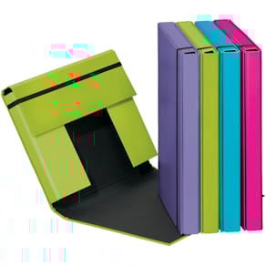 Heftbox PAGNA Trend, A4, sortiert