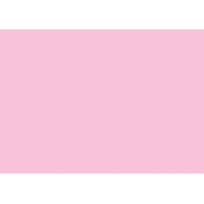 Karteikarten RNK, A6, 100 St., rosa