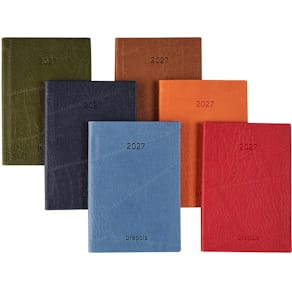 Agenda Brepols Delta Lucca, geassorteerde kleuren, 2026