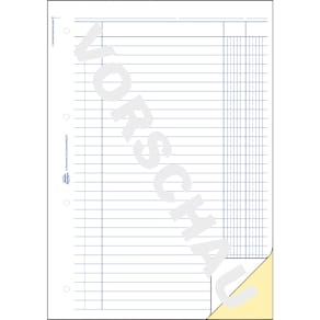 Buchungsdurchschreibebuch Avery Zweckform, A4, 2x40 Blatt, SD