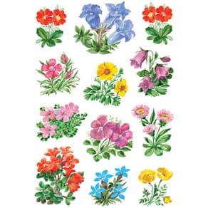 Schmucketiketten HERMA Gebirgsblumen, 36 Stück