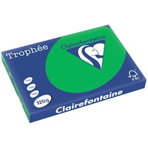 Gekleurd papier Clairefontaine Trophée Intens, A3, 120 g, 250 vel