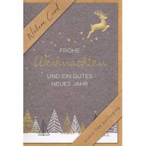 Weihnachtskarte BSB D.T.