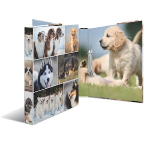 Ordner HERMA, A4, 2-Ring, 25 mm, Hunde, bunt