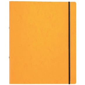 Ringbuch PAGNA, A4, 2-Ring, 16 mm, gelb