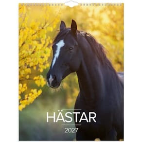Burde Väggkalender Stora Hästkalendern 2027