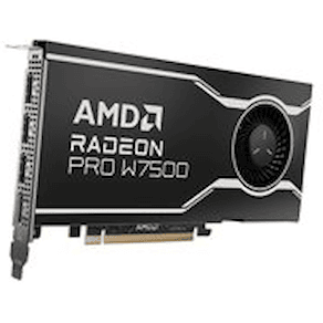 AMD Radeon Pro W7500 - Grafikkort - Radeon Pro W7500 - 8 GB
