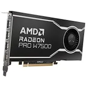 AMD Radeon Pro W7500 - Grafikkort - Radeon Pro W7500 - 8 GB