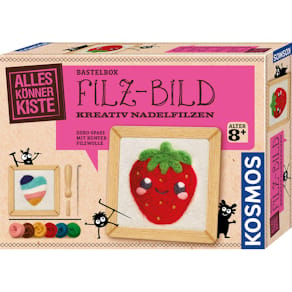 Bastelset KOSMOS AllesKönnerKiste Filz-Bild