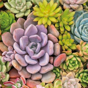 Motivserviette PAPER+DESIGN, 33 x 33 cm