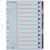 Register ESSELTE Mylar A4 1-12 multifärgat