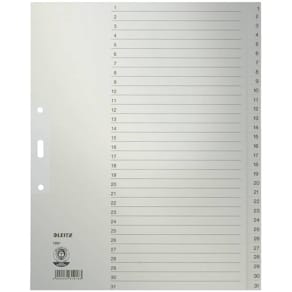 Register Leitz, A4, 1–31, grau