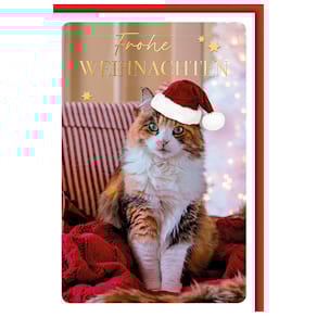 Weihnachtskarte BRAUN + COMPANY