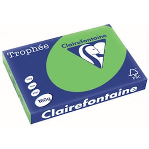 Gekleurd papier Clairefontaine Trophée Intens, A3, 160 g, muntgro