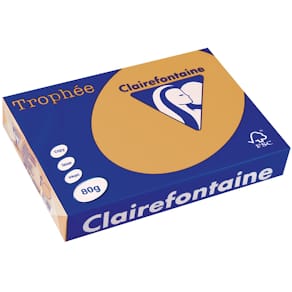 Papier Clairefontaine Trophée, gekleurd, A4, 80 g, 500 vel, bruin