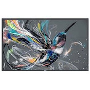 Philips 32BDL3511Q - 32" Diagonal klass (31.5" visbar) - Q-Line