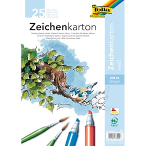 Zeichenkarton Folia, 250 g, A4, 25 Blatt