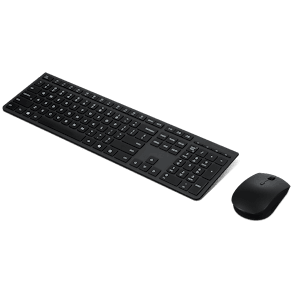 Lenovo Professional - Sats med tangentbord och mus - full size