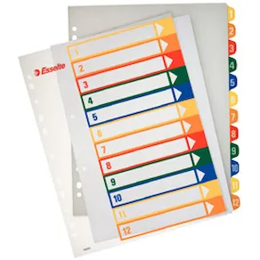 Plastregister Plast ESSELTE Projektindex A4+ 1-12