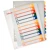 Plastregister Plast ESSELTE Projektindex A4+ 1-12