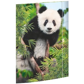 Gummizugmappe RNK Panda, A3