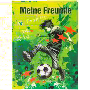 Freundebuch GOLDBUCH Stürmer, 88 Seiten, bunt