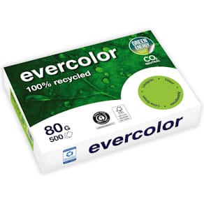Kopierpapier Clairefontaine Evercolor A4 80 g, 500 Bl., lindgrün