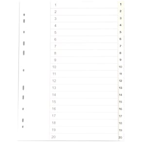 Register vit PP  A4 1-20