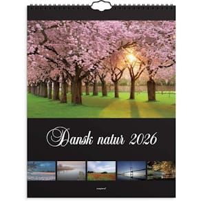 Kalender Mayland 2026 295x390 mm, assorteret, FSC, 1 stk