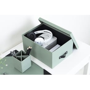 Förvaringsbox m.lock kartong Mint