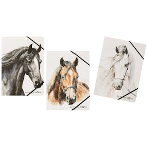 Sammelmappe PAGNA Best Friend, A4, sortiert