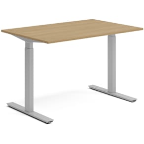 Skrivbord el 120x80 cm Ek/Silver