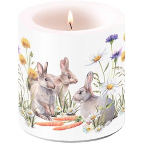 Kerze Ambiente, Frühjahr, 9 cm, Karotten