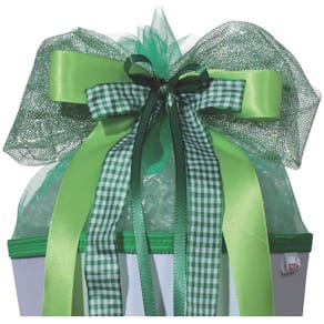 Schultütenschleife ROTH LED Green Lights