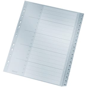 Register Leitz Plastik, A4, 1-20, grau