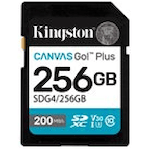 Kingston Canvas Go! Plus - Flash-minneskort - 256 GB - Video