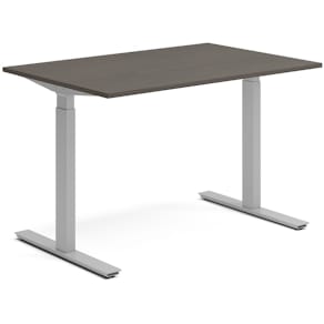 Skrivbord el 120x80 cm Mörk ask/Silver
