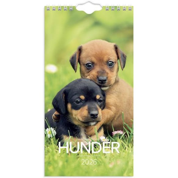 Veggkalender GRIEG 2026 Hunder Mini